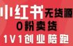 小红书无货源0粉电商课，开店准备、选品策略、笔记撰写、视频剪辑、数据分析、账号打造、资料文档(更新26年6月22日)