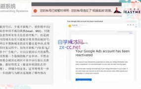 孙谦老师·Google Ads优化师部落视频学习课程(更新2026)