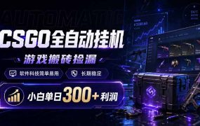 CSGO全自动挂机，游戏搬砖捡漏，软件科技简单易用，长期稳定，小白单日300+利润