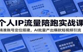 个人IP流量陪跑实战课：精准账号定位搭建，AI批量产出爆款短视频引流