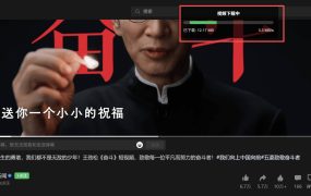 微信视频号下载助手v260330