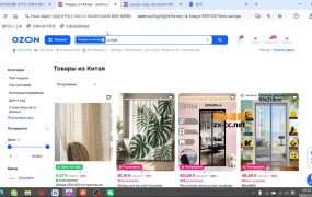 OZON 跨境电商实战课，零基础开店运营全教程，精通物流定价快速出单