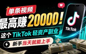 单条视频最高赚 20000!这个 TikTok 轻资产副业,新手当天就能上手