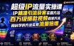 超级IP流量实操课，IP精准引流获客实操方法，百万级爆款视频底层方法，用科学的方法实现流量倍增