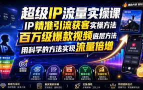 超级IP流量实操课，IP精准引流获客实操方法，百万级爆款视频底层方法，用科学的方法实现流量倍增