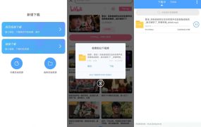星速磁力bt网页嗅探！视频图片不限速下载