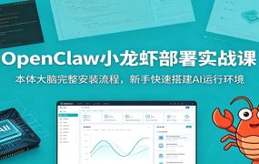 OpenClaw小龙虾部署实战课：本体大脑完整安装流程，新手快速搭建AI运行环境