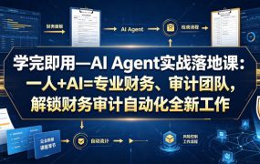 学完即用—AI Agent实战落地课：一人+AI=专业财务、审计团队，解锁财务审计自动化全新工作模式