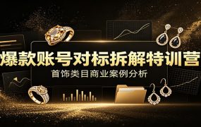 爆款账号对标拆解特训营:首饰类目商业案例分析,配套完整资料内容