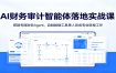 AI财务审计智能体落地实战课：搭建专属财务Agent，自制数据工具单人完成专业财税工作