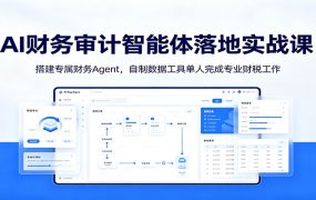 AI财务审计智能体落地实战课:搭建专属财务Agent,自制数据工具单人完成专业财税工作