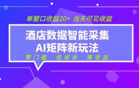 2026酒店数据采集ai智能矩阵新风口 低成本 高收益 当天见收益 单窗口20+