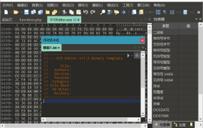 十六进制编辑器010 Editor v16.0.4汉化绿色版