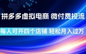 拼多多虚拟电商,微付费投流玩法,每人可开四个店,轻松月入过1W【揭秘】