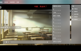 NipaPlay视频播放器v1.9.20绿色版