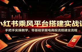 小红书乘风平台搭建实战课：手把手实操教学，零基础掌握电商投流搭建全流程