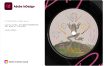 Adobe InDesign 2025 v20.3.0.60特别版