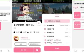 安卓BILIBILIAS番剧下载器v3.1.0
