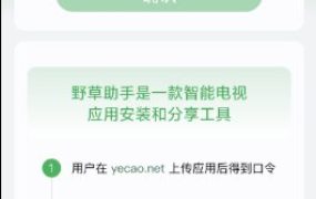野草助手TV v2.3.3★告别繁琐的U盘安装过程
