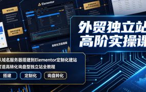 外贸独立站高阶实操课｜从域名服务器搭建到Elementor定制化建站，打造高转化询盘型独立站全教程