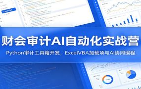 财会审计AI自动化实战营：Python审计工具箱开发，ExcelVBA加载项与AI协同编程