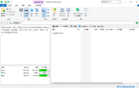 TreeSize Professional v9.7.1.2201绿色版
