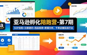 亚马逊孵化陪跑营-第7期：SOP流程+注册避坑+选品梳理+数据分析，千单店铺实战打法