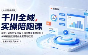 千川全域实操陪跑课：全域计划投放全流程｜出价放量素材追投｜AI做视频数据选品全套落地教程