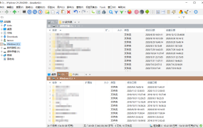 XYplorer v28.20.0400绿色便携版