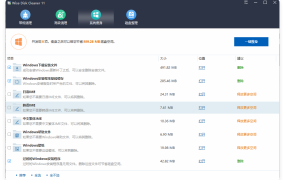 Wise Disk Cleaner v11.3.3.853绿色版