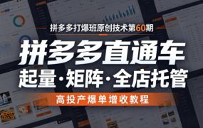 拼多多打爆班原创技术第60期,拼多多直通车,起量・矩阵・全店托管,高投产爆单增收教程