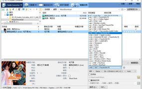 EZ CD Audio Converter v12.4.0.1.0高级版