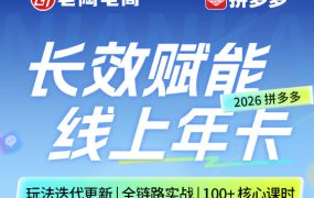 拼多多线上SVIP线上年卡，从认知到基础、从推广到活动、从活动到玩法，全链路实战(260730)