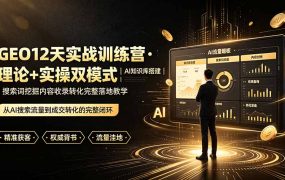GEO12天实战训练营·理论+实操双模式｜AI知识库搭建｜搜索词挖掘内容收录转化完整落地教学