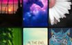 ZEDGE 铃声和壁纸v8.90.1高级版