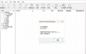 下载利器IDM 6.42.63注册版