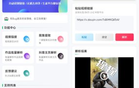 安卓无印多平台解析去水印工具 1.9