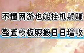 不懂网游也能挂G躺賺，整套模板照搬日日增收，单机每天稳定1000+【揭秘】