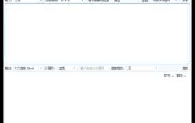 多进制字符编码工具 v1.1