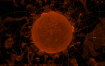 Stellarium虚拟天文馆v25.2便携版