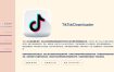 抖音下载TikTokDownloader v5.4