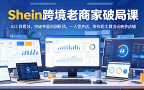 Shein跨境老商家破局课，AI工具提效，突破单量利润瓶颈，一人管多店，带你用工具流玩转多店铺