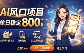 AI风口项目，单日稳定800+，旺季单子做不完，简单好做，提供派单资源
