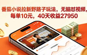 番茄小说拉新野路子玩法，无脑怼视频，每单10元，40天收益27950