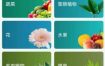 PictureThis 植物识别v5.11.0专业版