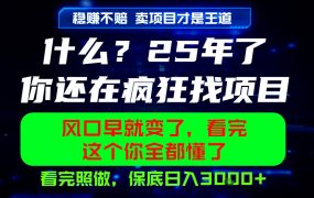 26年，请不要疯狂的找项目做了！卖项目才是真的稳賺不赔，看完照做，保底日入1k+【揭秘】