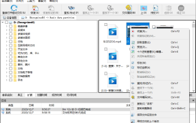 数据恢复R-Studio v9.5.191709便携版