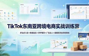 TikTok东南亚跨境电商实战训练营：多站点入驻+数据选品+ERP铺货+广告达人+直播发货全流程落地