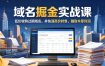 域名交易掘金实战课，低价收购过期域名，并快速高价转售，賺取丰厚利润【原创双语字幕】