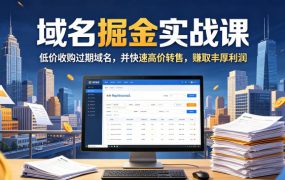 域名交易掘金实战课，低价收购过期域名，并快速高价转售，賺取丰厚利润【原创双语字幕】